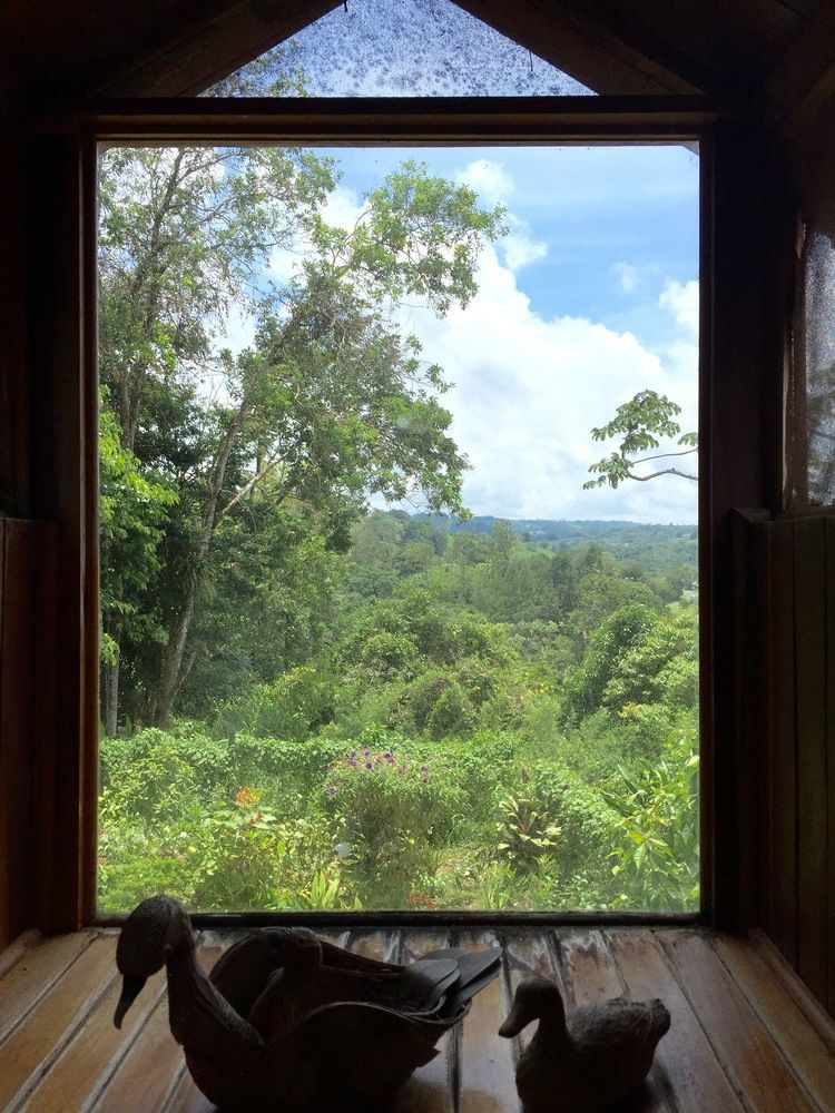 Chalet Nicholas Bed & Breakfast Nuevo Arenal Extérieur photo